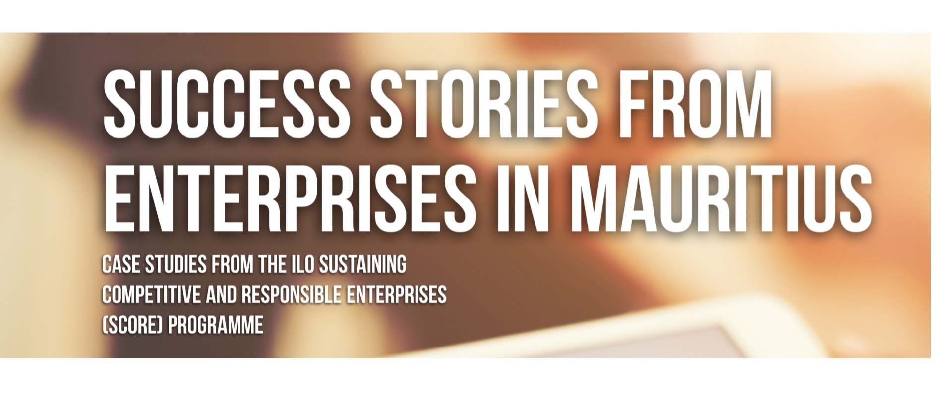 Success stories from enterprises in Mauritius