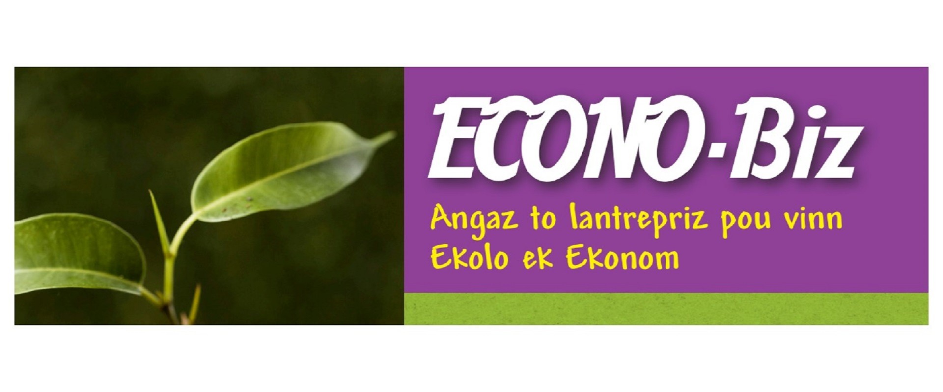 ECONO-BIZ: REGISTER HERE - DEADLINE EXTENDED TO 24 FEBRUARY!