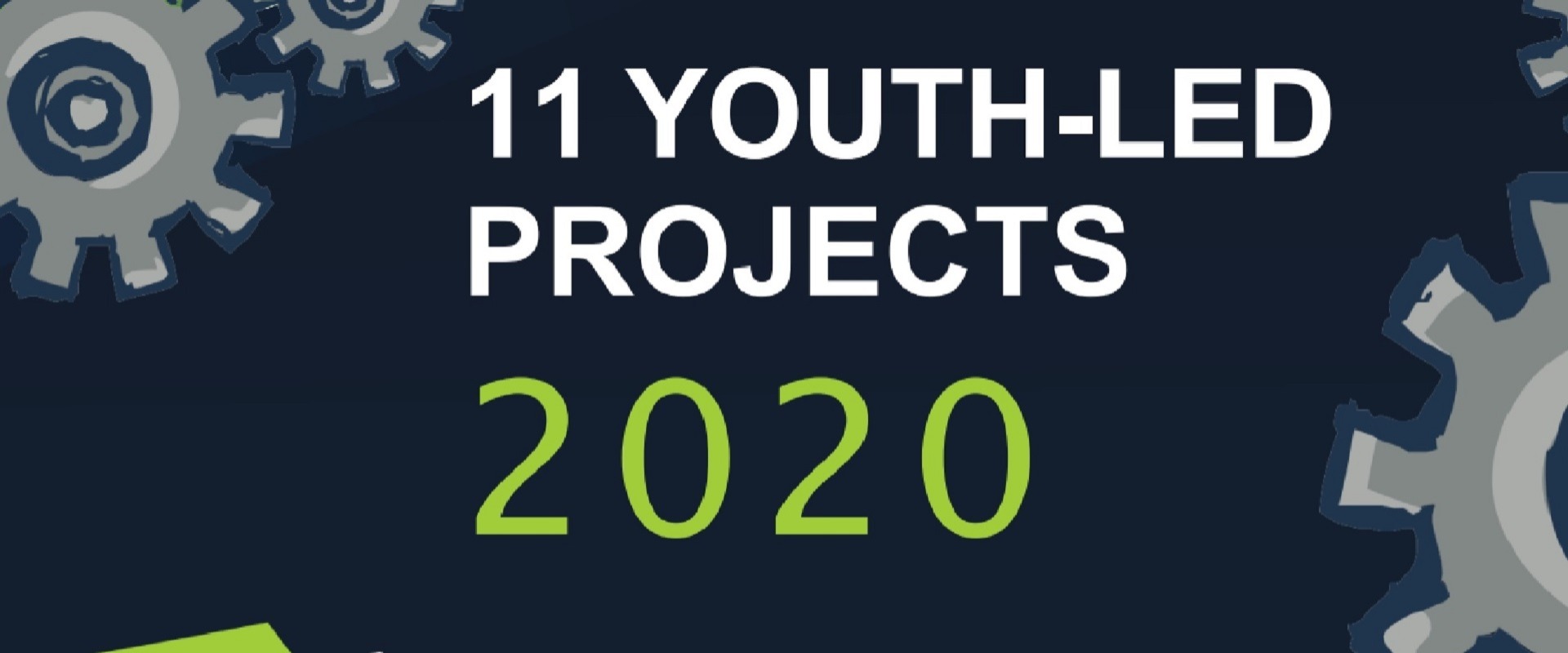 NLE 11 Youth Led Projects 2020